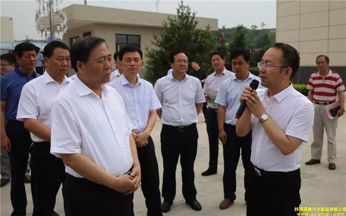 省委常委、省委統(tǒng)戰(zhàn)部部長、副省長姜鋒蒞臨森弗產(chǎn)業(yè)園調(diào)研大健康產(chǎn)業(yè)發(fā)展情況