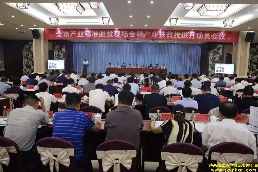 熱烈祝賀陜西森弗被評(píng)為商洛市產(chǎn)業(yè)脫貧工作龍頭企業(yè)