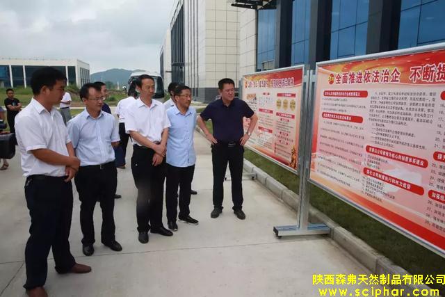 商洛市＂七五”普法督察組調研森弗公司依法治企工作情況