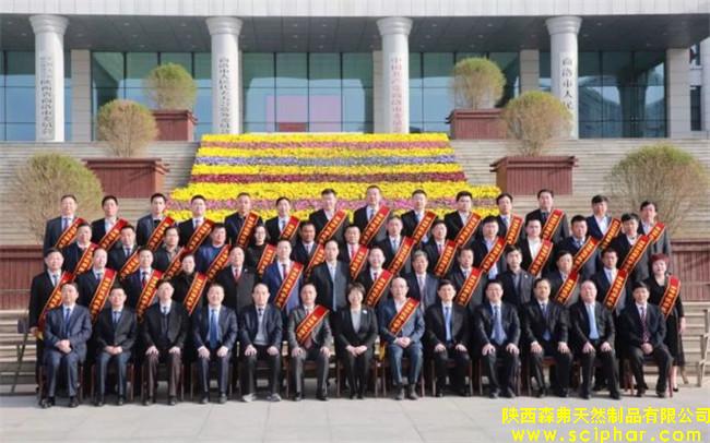 陜西森弗被評(píng)為“商洛市優(yōu)秀民營企業(yè)”，董事長金新康榮獲“商洛市優(yōu)秀民營企業(yè)家”稱號(hào)